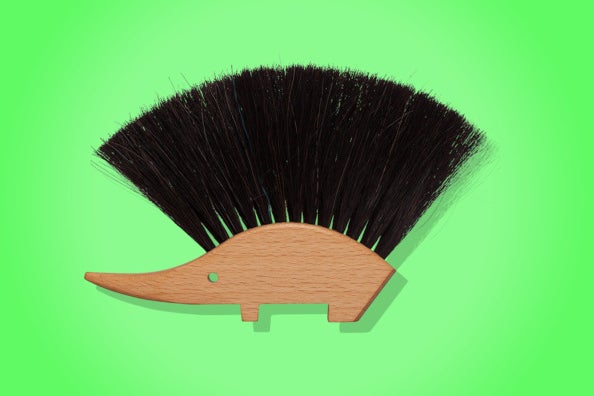 Bürstenhaus Redecker Hedgehog Table Brush.